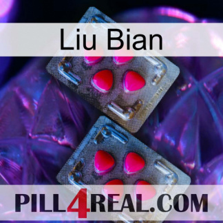 Liu Bian 14